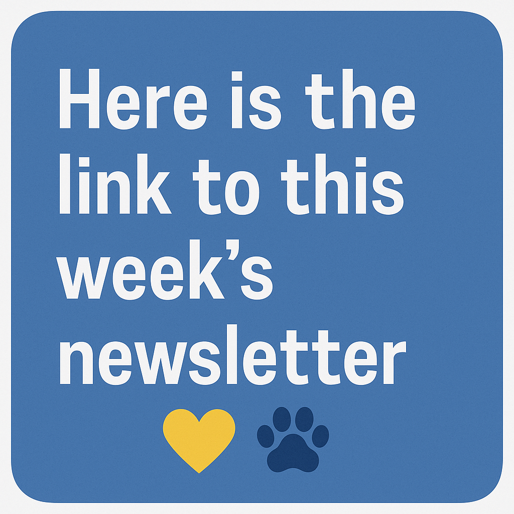 Newsletter - 12/1 - 12/5