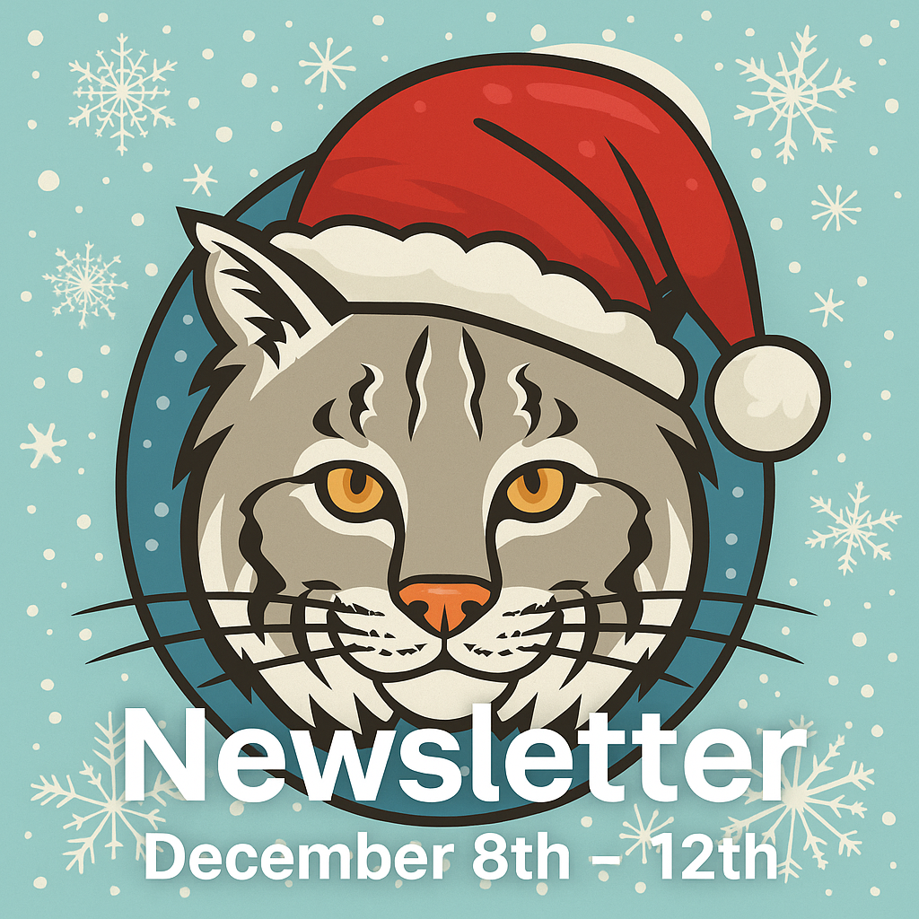 Newsletter December 8th - 12th