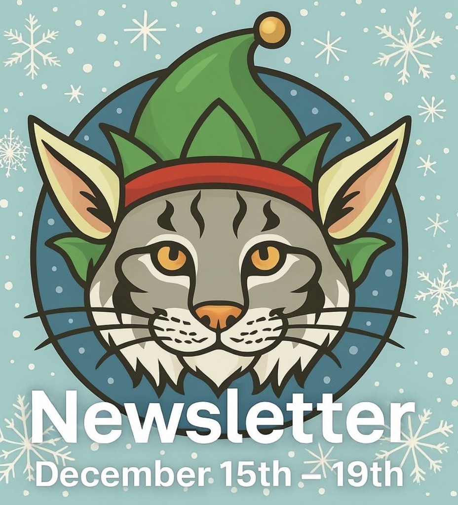 Parent Newsletter - December 15th -19th