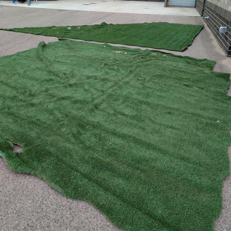 turf