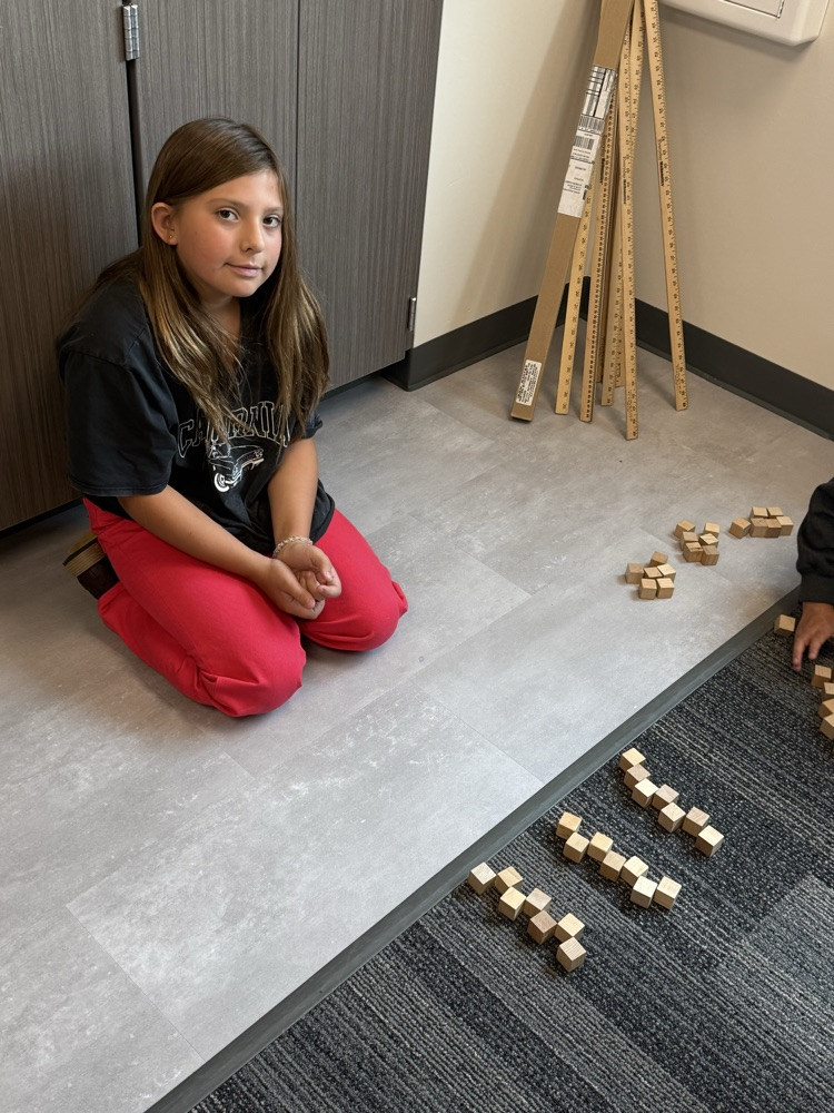 Multiplication Fun!