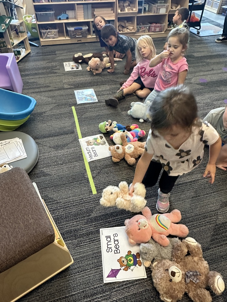 students sorting bears by size 