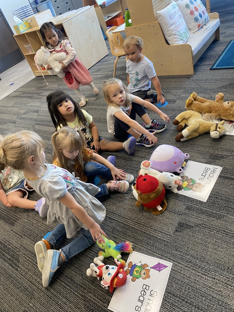 preschool children sorting their stuffies from largest to smallest
