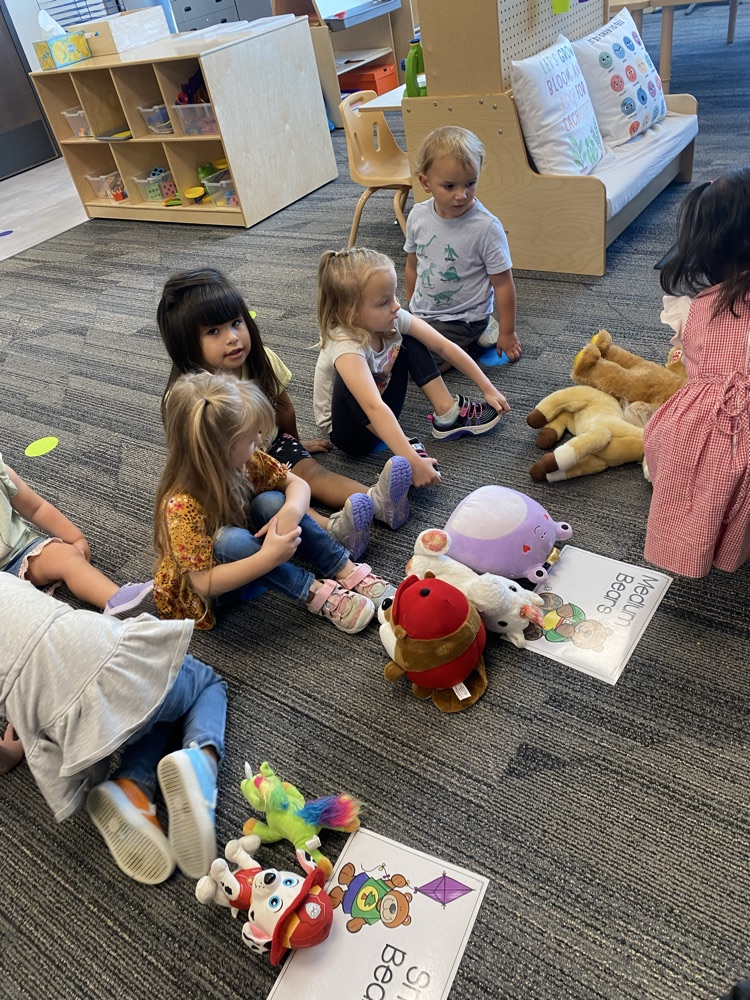 preschool children sorting their stuffies from largest to smallest