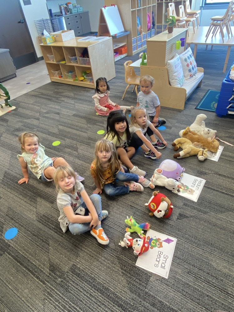 preschool children sorting their stuffies