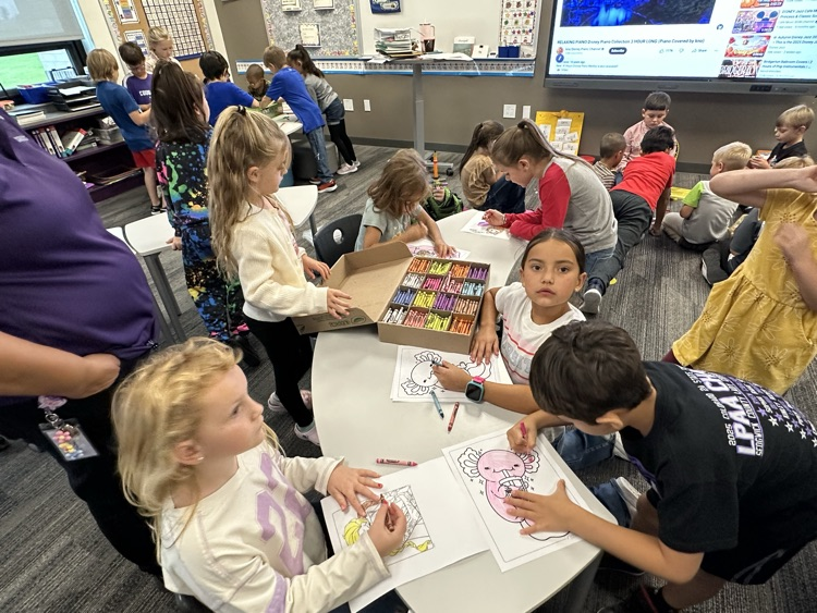 Coloring for inside recess.