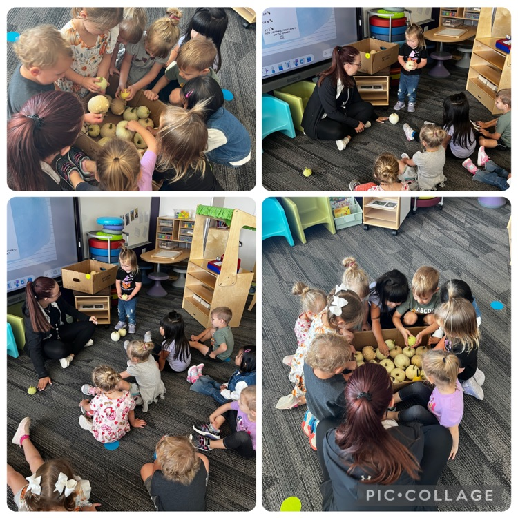 children looking at pumpkins