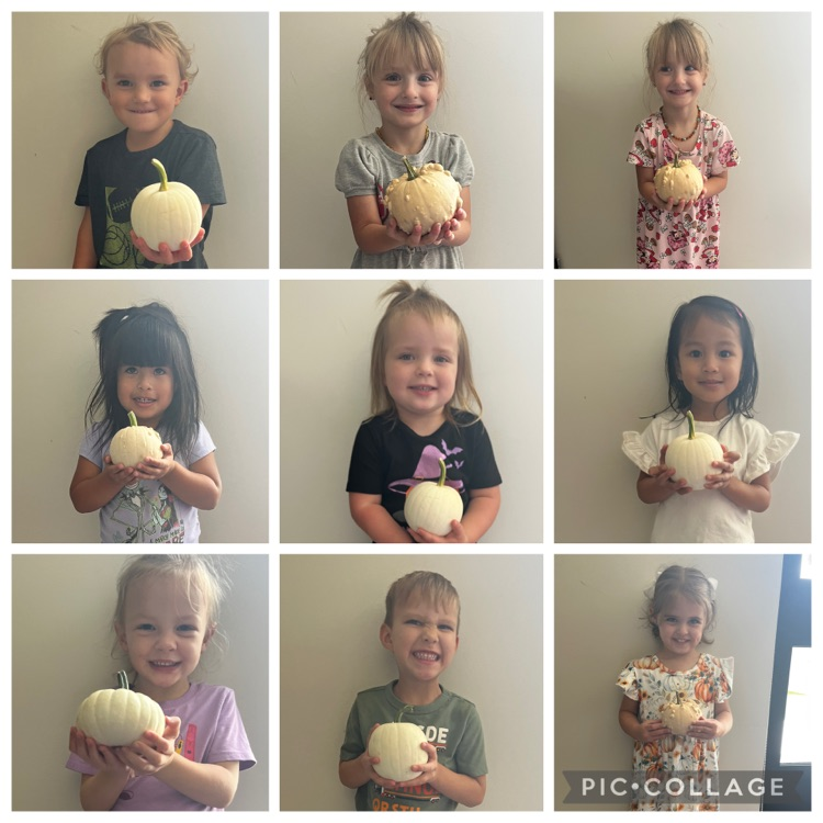 children holding white pumpkins