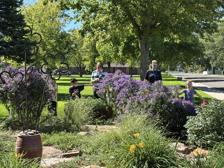 Learning about migration with butterflies