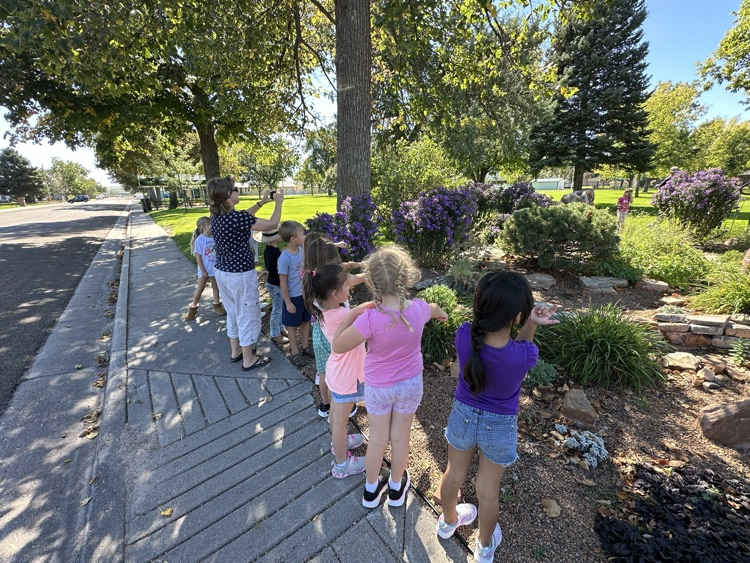 Learning about migration with butterflies
