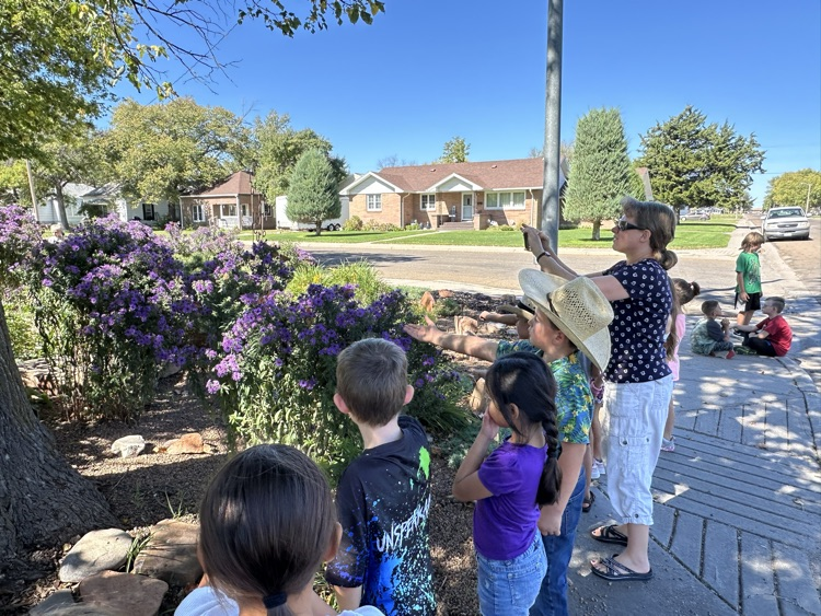Learning about migration with butterflies