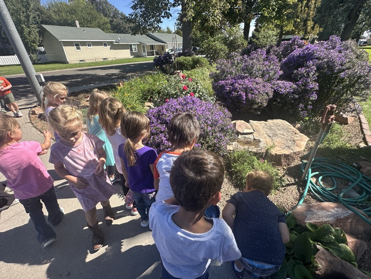 preschool students watching butterflies