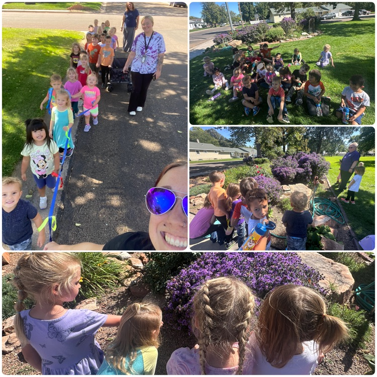 phot collage of preschool students watching butterflies