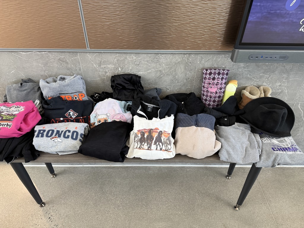 hoodies in lost and found