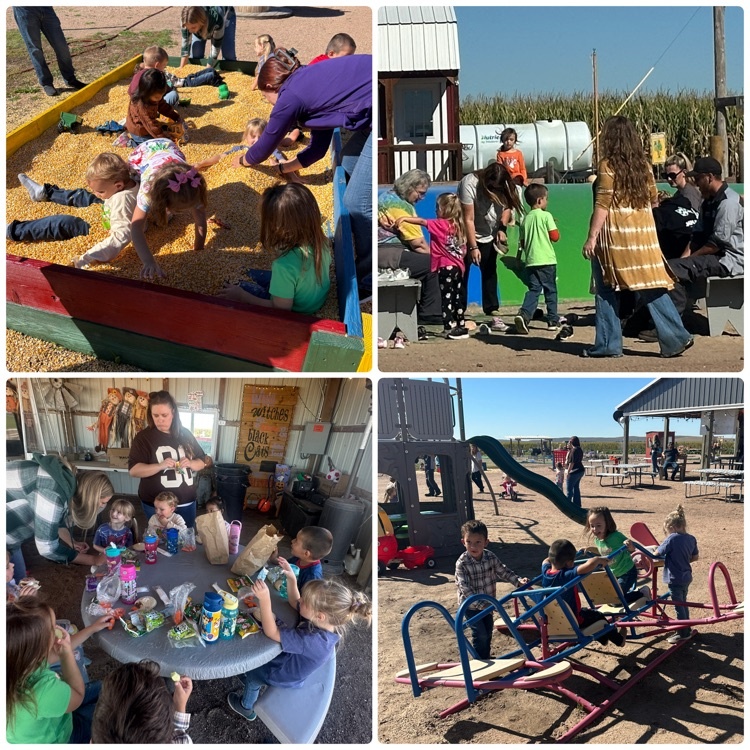 collage of pictures from pumpkin patch trip