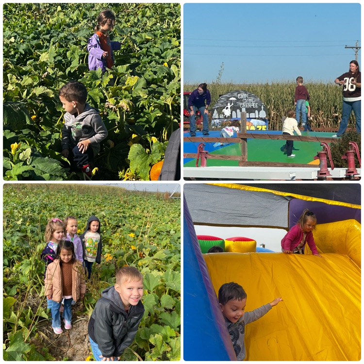 collage of pictures from pumpkin patch trip