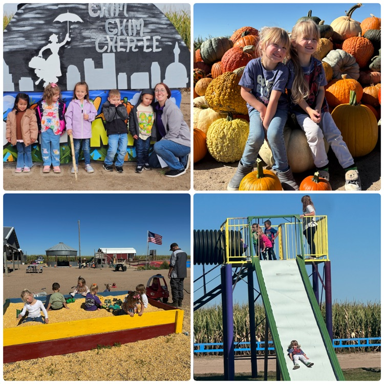 collage of pictures from pumpkin patch trip