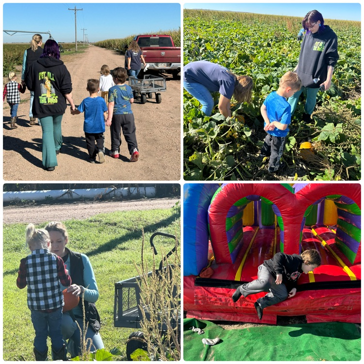collage of pictures from pumpkin patch trip