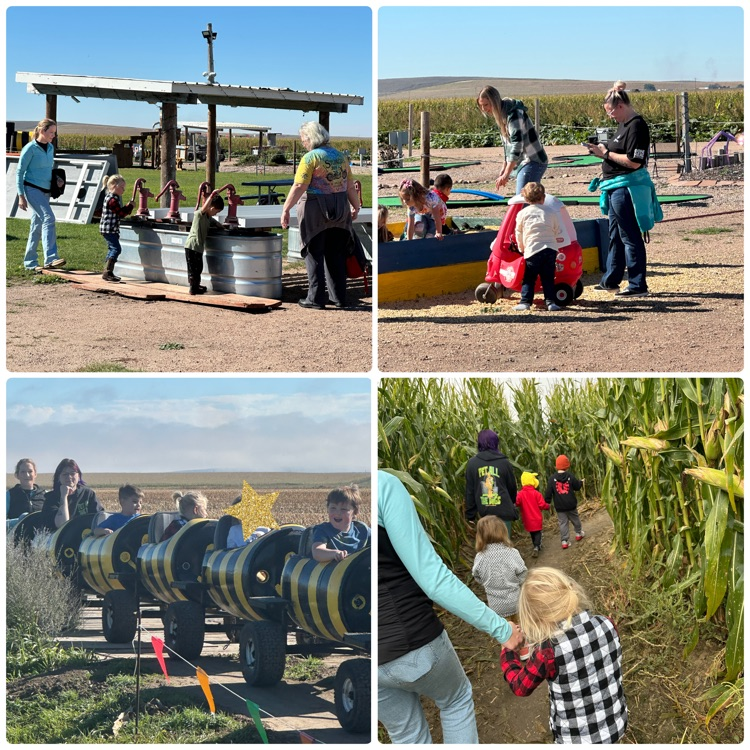 collage of pictures from pumpkin patch trip