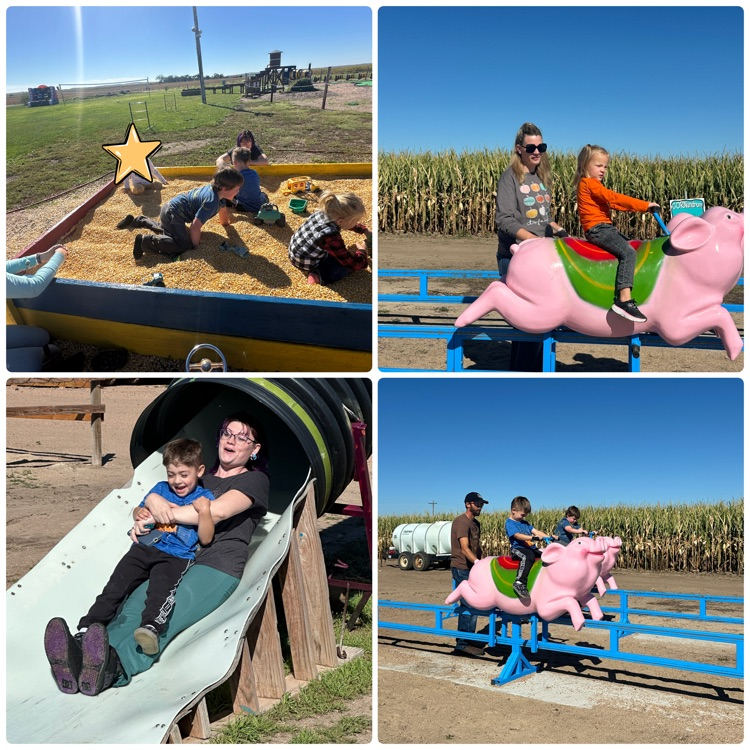 collage of pictures from pumpkin patch trip