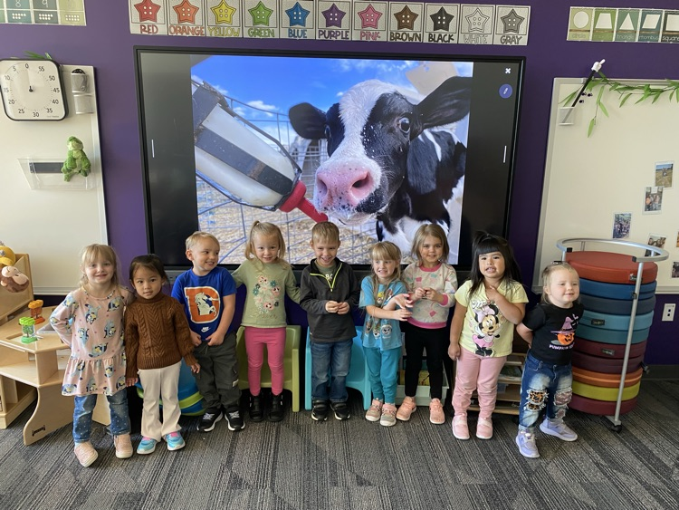 students standing in front of cow image 