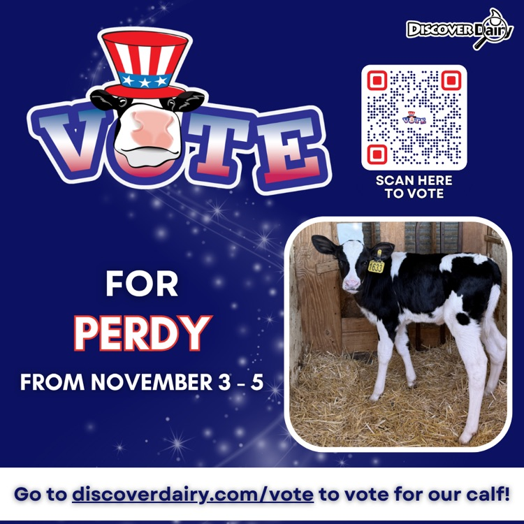 vote for Perdy with QR code