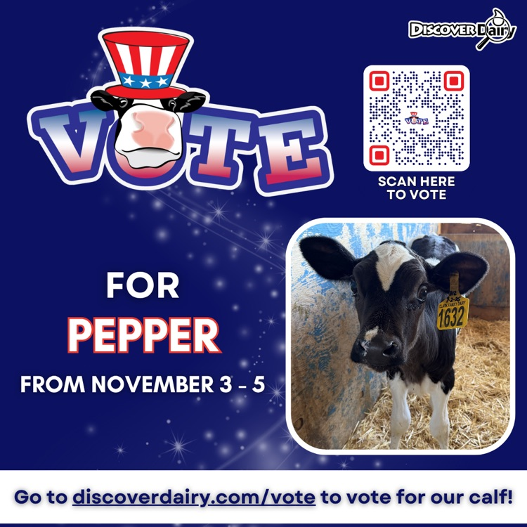 vote for Pepper