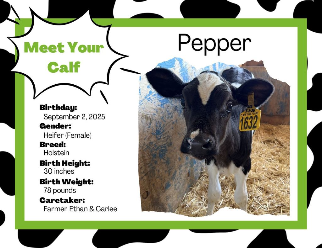 9D820554-7453-4608-953C-50F8C3335546