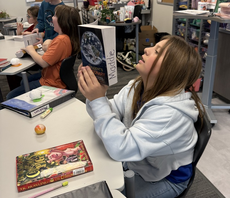 Dictionaries from Rotary.