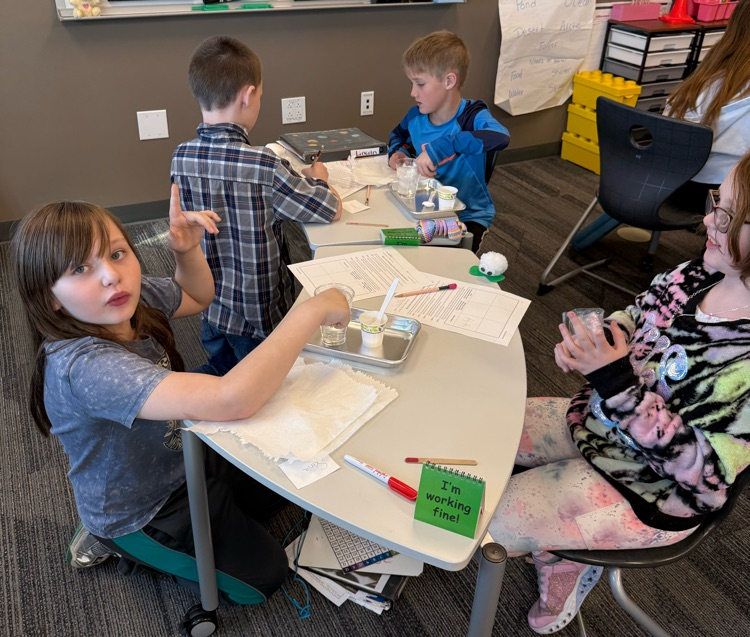 using Crisco as blubber to discover how the blubber helps animals such as whales survive in the arctic waters