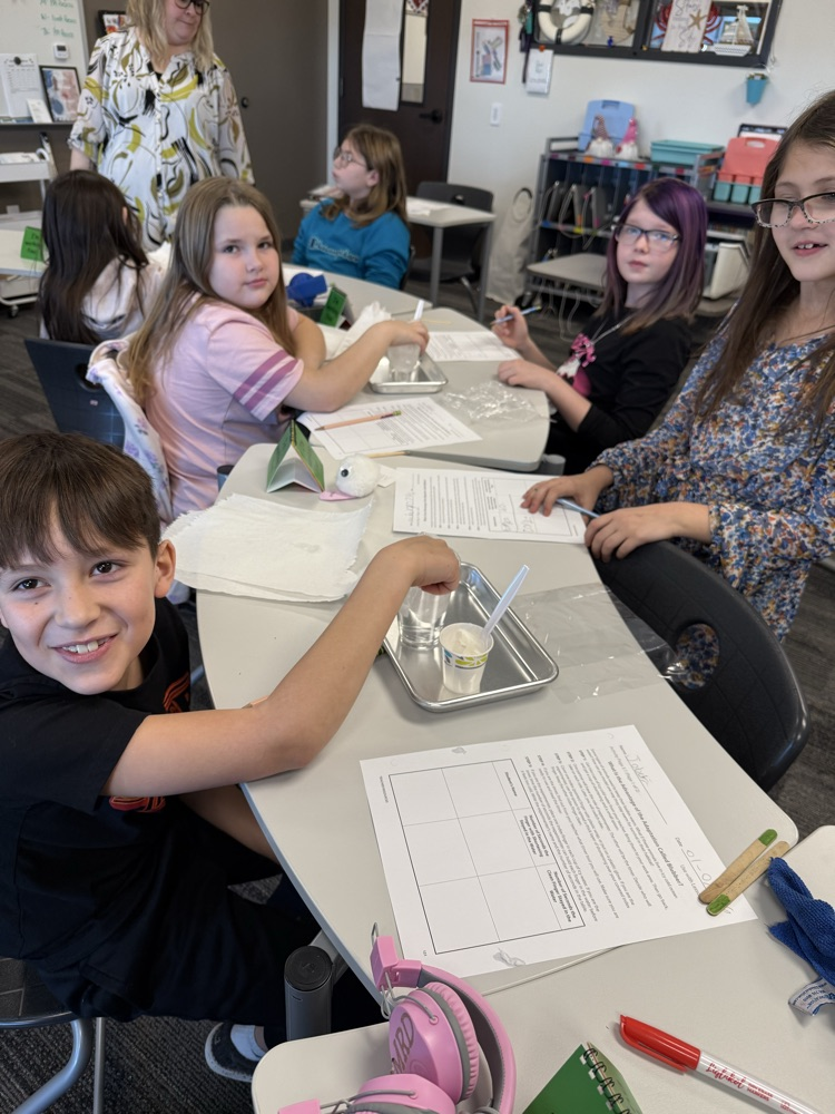 using Crisco as blubber to discover how the blubber helps animals such as whales survive in the arctic waters