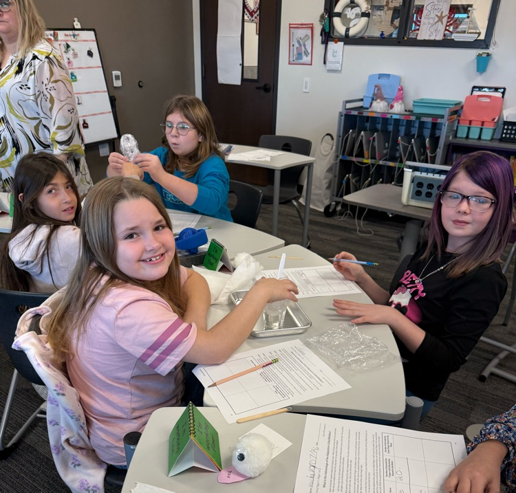 using Crisco as blubber to discover how the blubber helps animals such as whales survive in the arctic waters