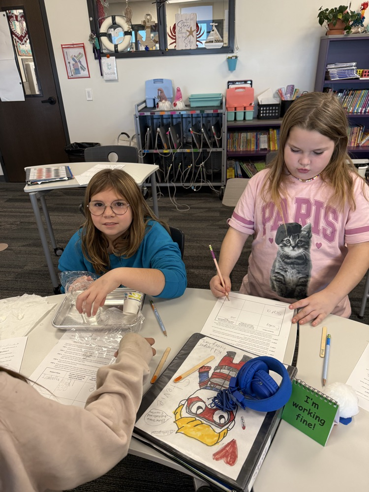 using Crisco as blubber to discover how the blubber helps animals such as whales survive in the arctic waters