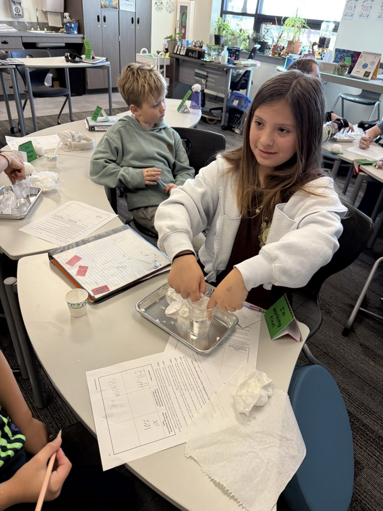 using Crisco as blubber to discover how the blubber helps animals such as whales survive in the arctic waters