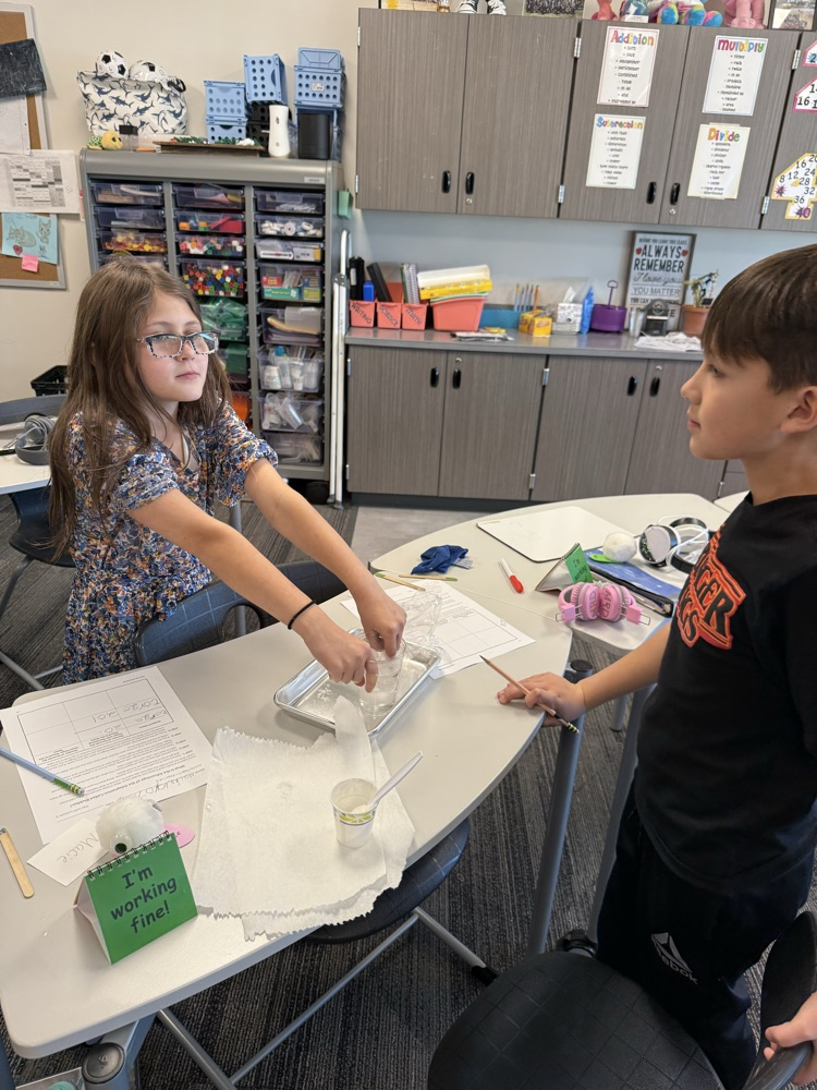 using Crisco as blubber to discover how the blubber helps animals such as whales survive in the arctic waters