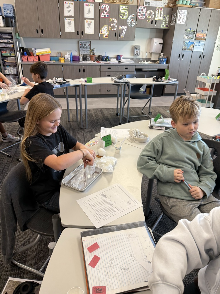 using Crisco as blubber to discover how the blubber helps animals such as whales survive in the arctic waters