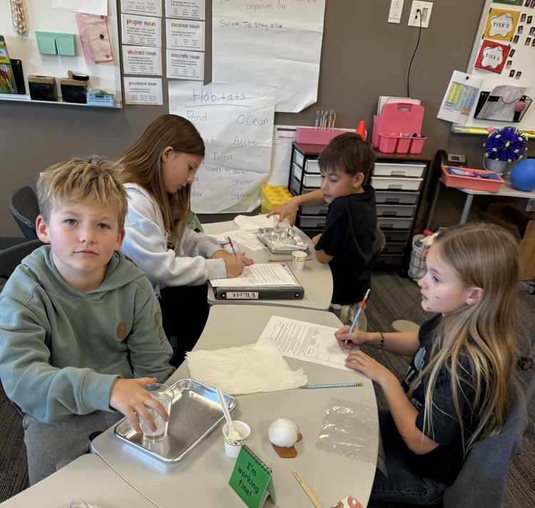 using Crisco as blubber to discover how the blubber helps animals such as whales survive in the arctic waters