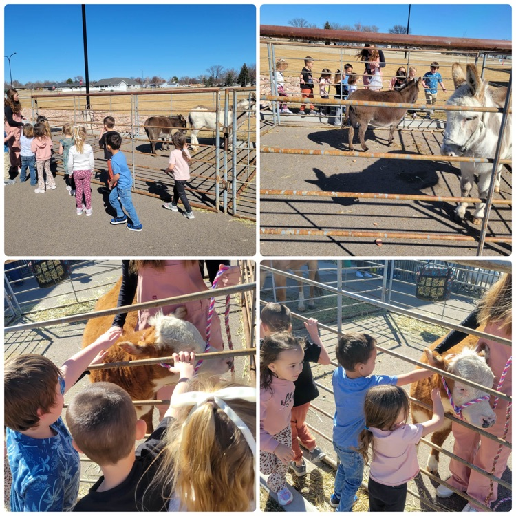 collage of children at petting zoo