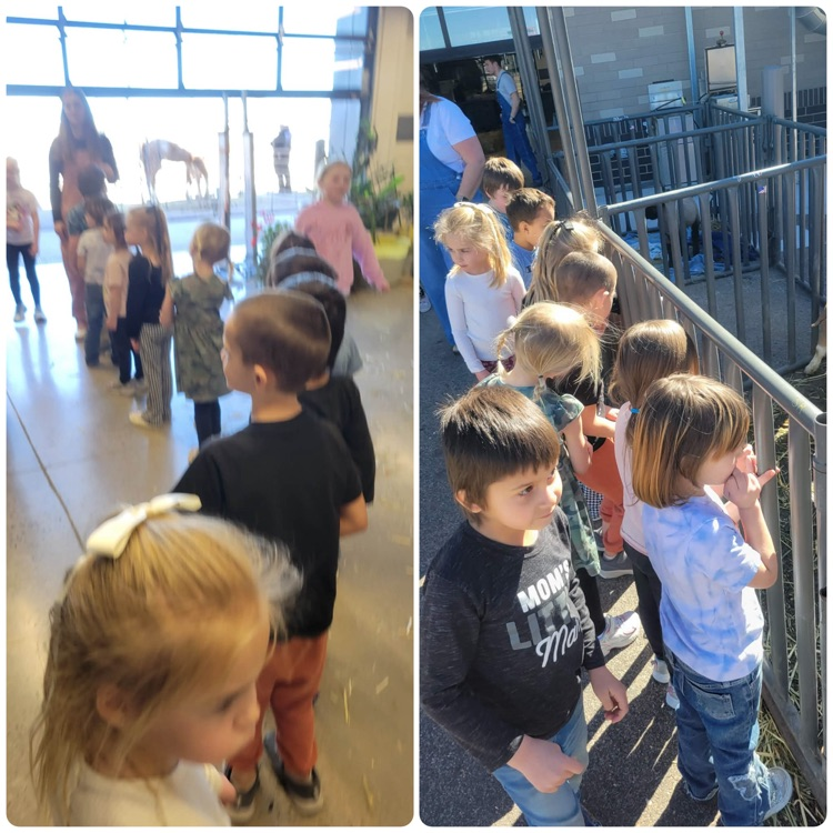 collage of children at petting zoo