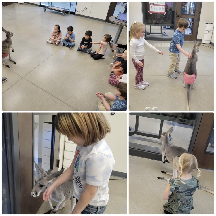 collage of children at petting zoo