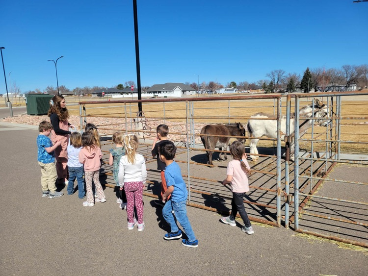 children lined up at corral with donkeys 