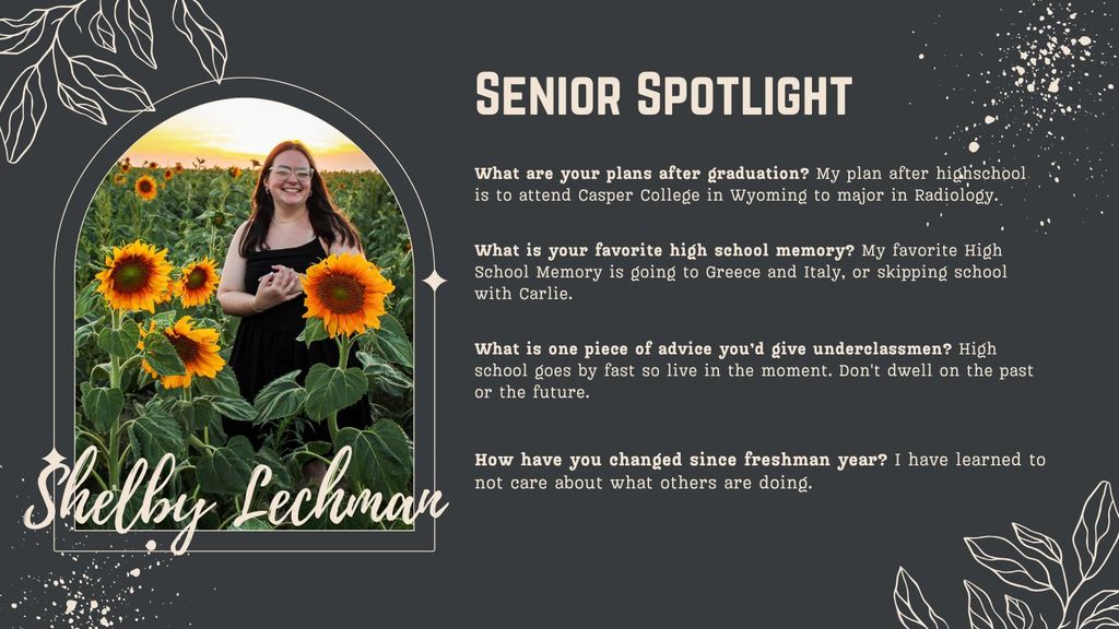 shelby spotlight