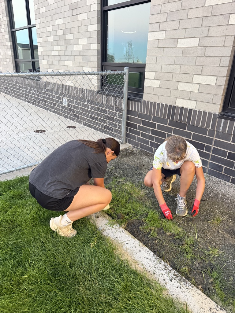 SLT members pulling weeds
