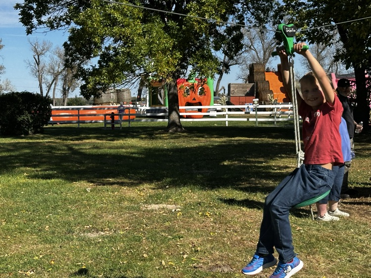 Dusty Trails pumpkin patch.