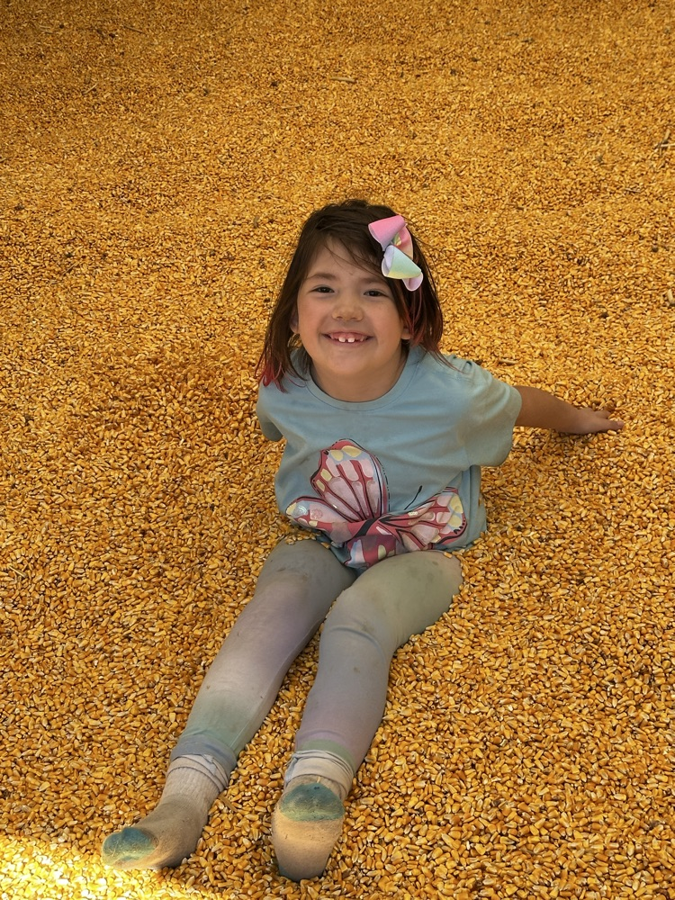 Dusty Trails pumpkin patch.