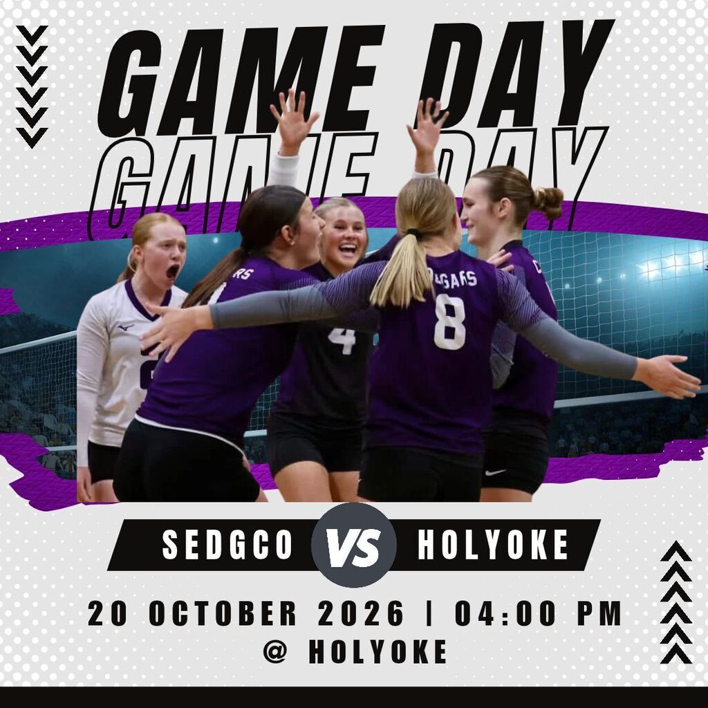 sedgco vs holyoke