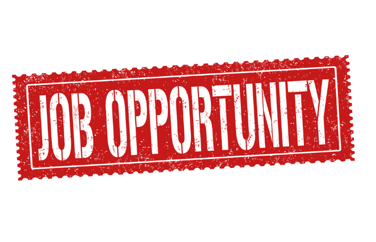 Summer Job Opportunity