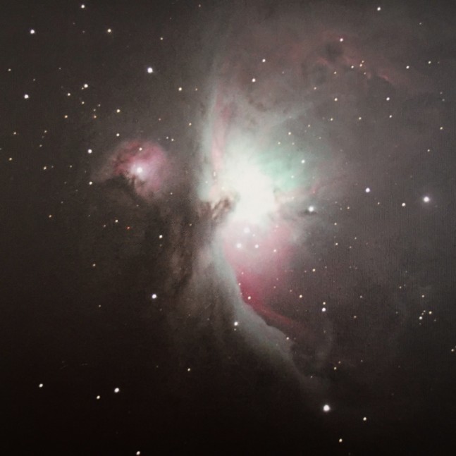 Orion Nebula