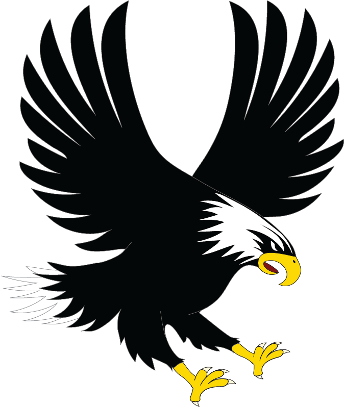 An eagle in flight with dark brown wings, a white head, and yellow talons and beak, set against a black background.