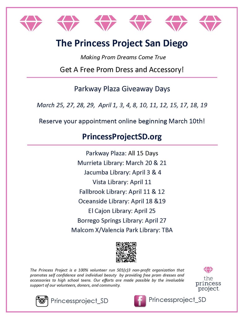 Princess Project Flyer in English